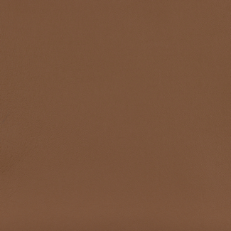 Swatch image for 679 Honey